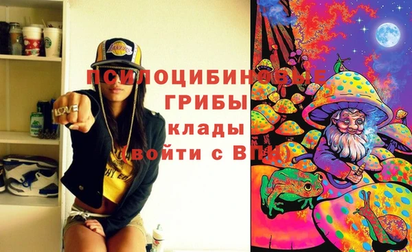 mdpv Тутаев