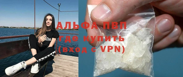 сатива Дмитриев