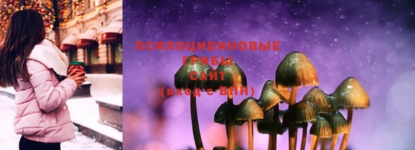 прущая мука Дмитровск