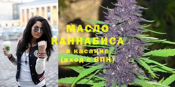 сатива Дмитриев