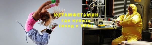 сатива Туринск