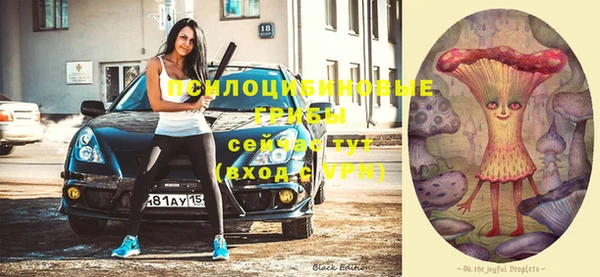 синтетический гашиш Гусиноозёрск