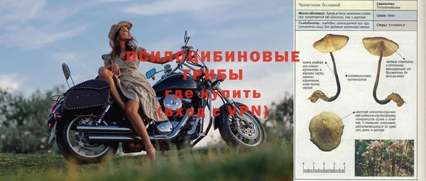 сатива Дмитриев