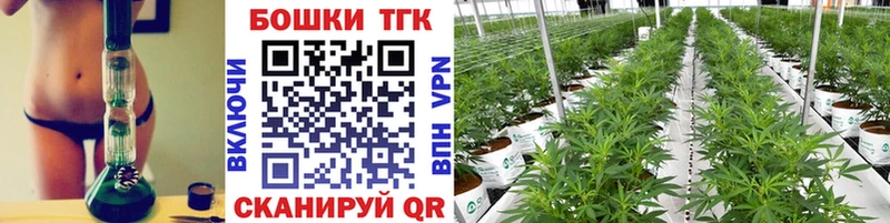 Бошки Шишки планчик  Свирск 